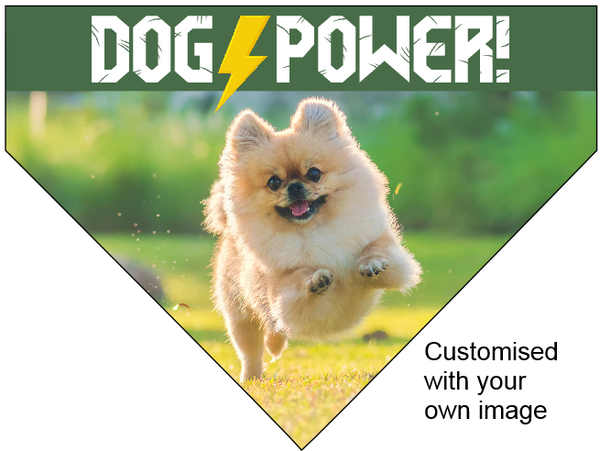 Dog Power Pet Bandana