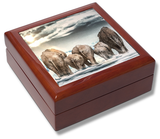 Elephants Wanderlust Keepsake Box / Memory Box / Trinket Box / Jewellery Box