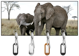 Elephants Wanderlust Key Hanger/Key Holder