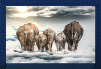 Elephants Wanderlust Blue Nylon Wallet