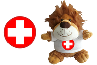 Get Well Lion Chocolate Soft Toy - CAN BE PERSONALISED