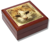 Ginger and White Cat Keepsake Box / Memory Box / Trinket Box / Jewellery Box