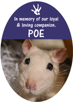Pet Memorial Cross (in memory of our loyal companion). Can be customised with photo, name and inscription.