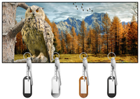 Pharoah Eagle Owl Key Hanger/Key Holder