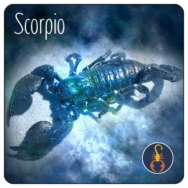 Scorpio (Signs of the Zodiac) Coaster/Coaster Set
