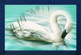 Swan Grooming on Lake Blue Nylon Wallet