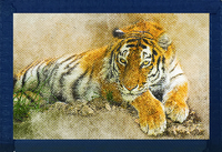 Tiger Laying Down Blue Nylon Wallet