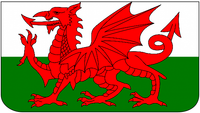 Welsh Dragon Ladies Faux Leather Purse